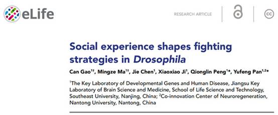 clip_image002.jpg clip_image002.jpg