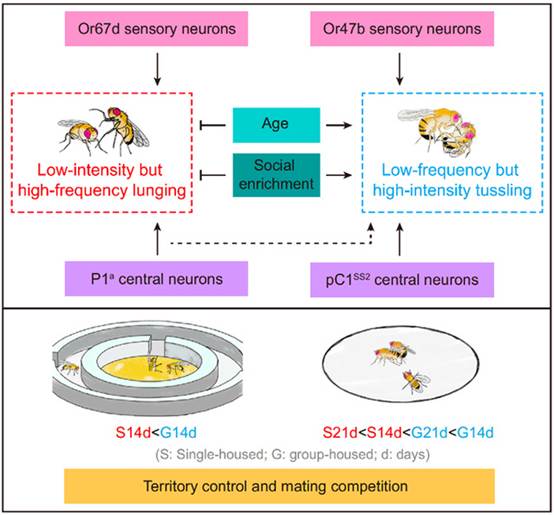 clip_image004.jpg clip_image004.jpg